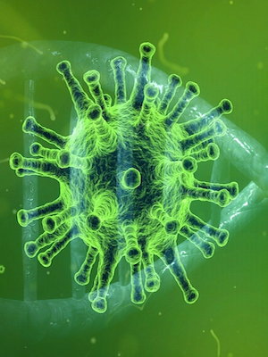 corona virus